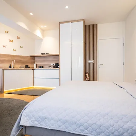 Central Belgrade Apartments *